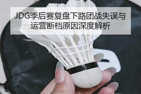 JDG季后赛复盘下路团战失误与运营断档原因深度解析